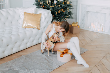 Beautiful young curly haired girl with her pet, dog and friend, hugging and considering Christmas gifts on the background of Christmas tree, garlands, fireplace and bokeh in a cozy white living room.