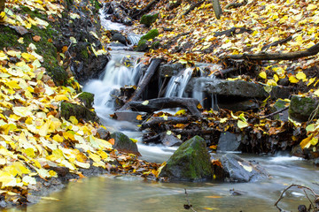 The rain-filled beck makes its way through autumn leaves and over rocks in Northcliffe  Woods in Shipley