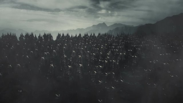 Big Army of Elves Wearing Full Armor Marching to a Battlefield