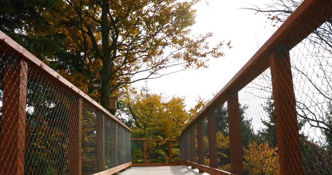 View of treetops moving in strong wind from the side to side and the wooden construction of a viewpoint hitting tree trunks during a sunny autumn day captured in Beskids area 4k 60fps.