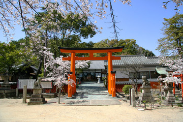 和歌山・春の玉津島神社