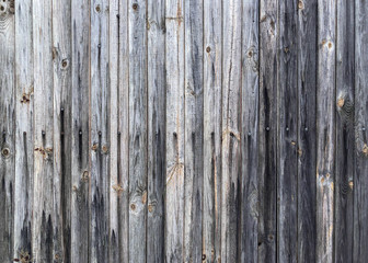 Grunge wood texture. Rustic background from old coniferous boards with knots. Street board element.