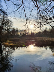 Jesienny poranek nad rzeką. Rzeka Grabia, Ldzań, Polska