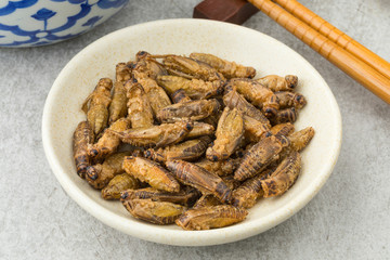 Dish with crispy small crickets