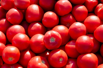 A pile of red tomato