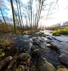Jesienny poranek nad rzeką. Rzeka Grabia, Ldzań, Polska