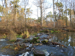 Jesienny poranek nad rzeką. Rzeka Grabia, Ldzań, Polska