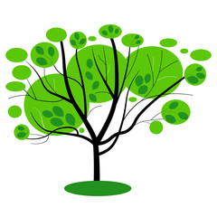 eucalyptus tree with leafage, vector graphics