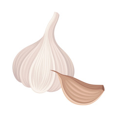 Garlic Bulb Isolated On White Background Vector Item