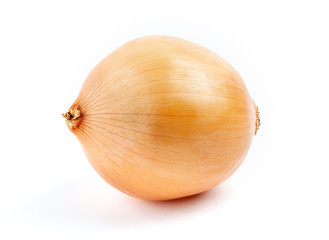 Onion on white background isolated