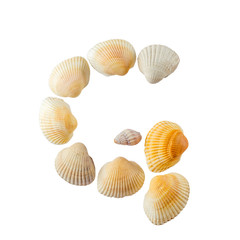 Letter "g" composed from seashells, isolated on white background