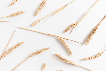 Pattern made of wheat spikelets on white background