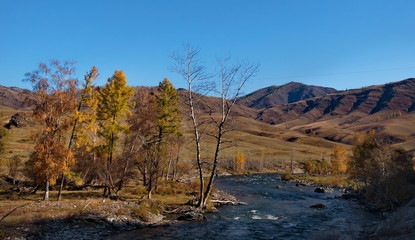 Fototapeta na wymiar Russia. Mountain Altai. Ursul river near the village of Ongudai