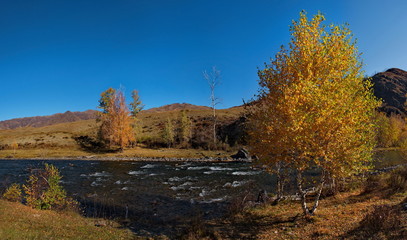 Fototapeta premium Russia. Mountain Altai. Ursul river near the village of Ongudai
