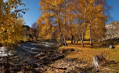 Russia. Mountain Altai. River Big Ilgumen near the village Kupchegen