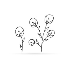 doodle flower cotton icon, kids hand drawing line art, vector illutration