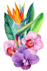 beautiful bouquet of flowers, watercolor, botanical painting, greeting card, strelitzia, orchids