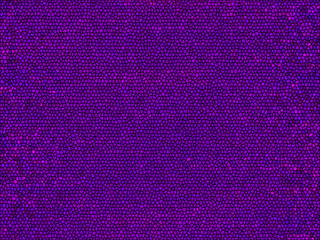 Abstract colorful background texture for wallpaper pattern backdrop decoration graphic fabric striped art design illustration geometric mosaic