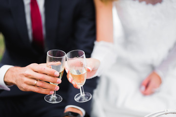 Smiling wedding couple clinking with glasses of champagne