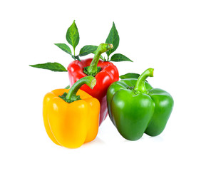  pepper isolated on white background