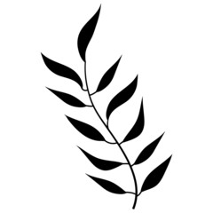 Tropical leaf  silhouette on white background vector illustration hand draw desing