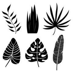 Tropical leaves set silhouette on white background vector illustration hand draw desing