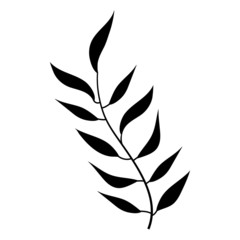 Tropical leaf  silhouette on white background vector illustration hand draw desing