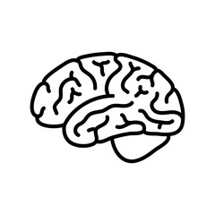 Vector illustration of human brain anatomy 