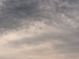 in the blue sky with dark clouds