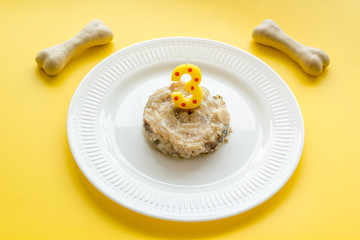 Birthday party for puppy. Dog feed, candle in shape of number three, bones on yellow background