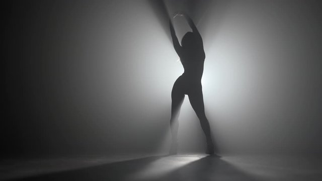 Silhouette of beautiful dancer on smoky dark background.Spotlight shines back against sexy girl. She moving seductively.