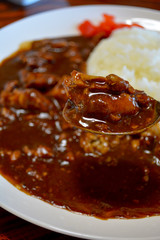 カレーライスのルウをスプーンですくいあげたところ