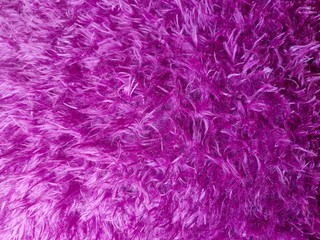 Soft fluffy furs background in purple:  a close up