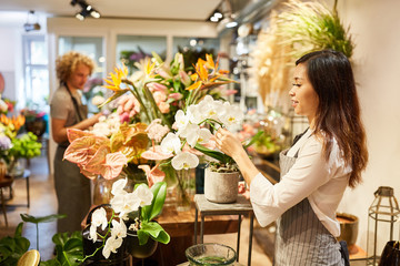 Asiatische Frau als Floristin dekoriert Blumengebinde