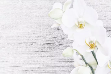 Fotobehang Weiße Orchidee vor Holz, Textfreiraum © Gisela