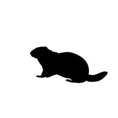 Marmot Groundhog silhouette animal mammals