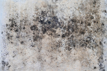 Abstract grunge gray concrete texture background. Cracks and old cement wall texture