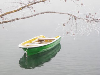 fog boat