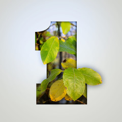Nature concept. Creative number with autumn leaves on a gray background. Creative typography, Chapter in the presentation, template. 1 number one.