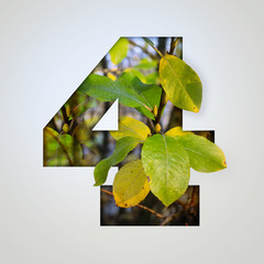 Nature concept. Creative number with autumn leaves on a gray background. Creative typography, Chapter in the presentation, template. 4 number four.