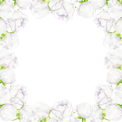 White watercolor peony flower and buds square frame. Hand drawn template on white background. Illustration for greeting card, invitation, save the date, wedding, home decoration, printing