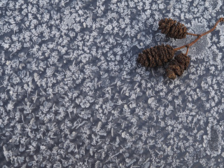 On a black background beautiful crystals of frost pattern and cones. Magnificent iced ornament hoarfrost decoration and design.
