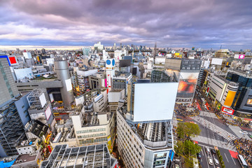 Tokyo, Japan city skyline over Shibuya Ward