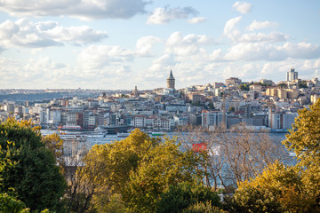 Fototapeta premium View of the historical part of Istanbul with a tower