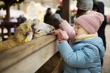 Two cute young sisters having fun feeding sheep in a small petting zoo on traditional Christmas market in Riga, Latvia. Happy winter activities for kids.