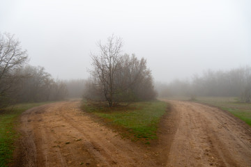Fog and rain in the spring forest. Country road covered in mud and clay.