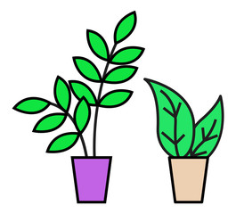 Plant in pot, isolated set of leafy botanical decoration for home or office. Decorative flowers for interior improvement. Domestic houseplants design in containers with soil. Vector in flat style