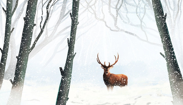 Deer in winter forest. Illustration painting.