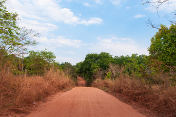 beautiful dirt road in the Brazilian cerrado
