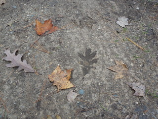 Everything leaves its mark